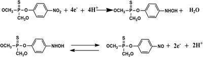 Electrochemical Studies of LbL Films With Dawson Type Heteropolyanion Glassy Carbon Electrode Sensor Modified for Methyl Parathion Detection
